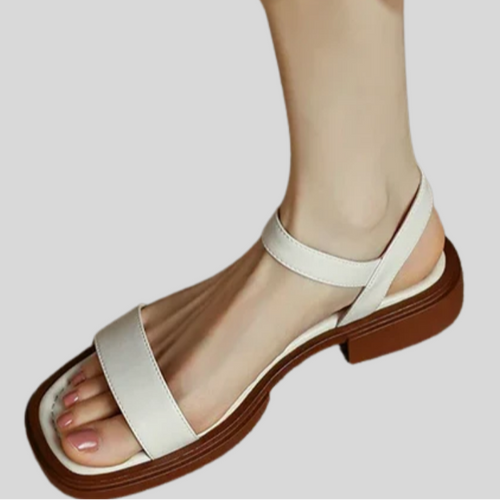 Elegant Comfort: Feby Women's Leather Flats for Chic Style