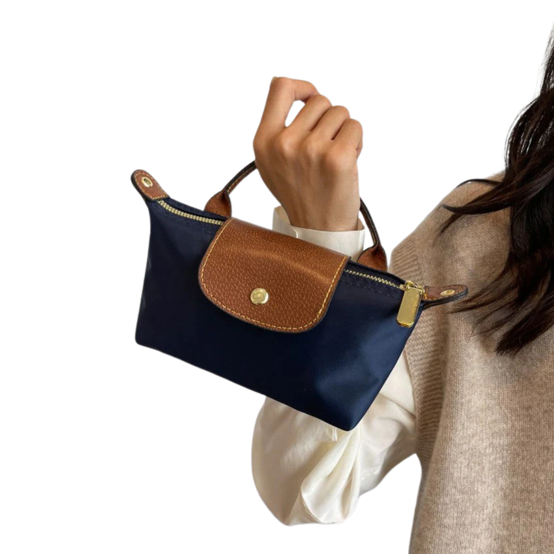 Adorable Compact Women's Handbag